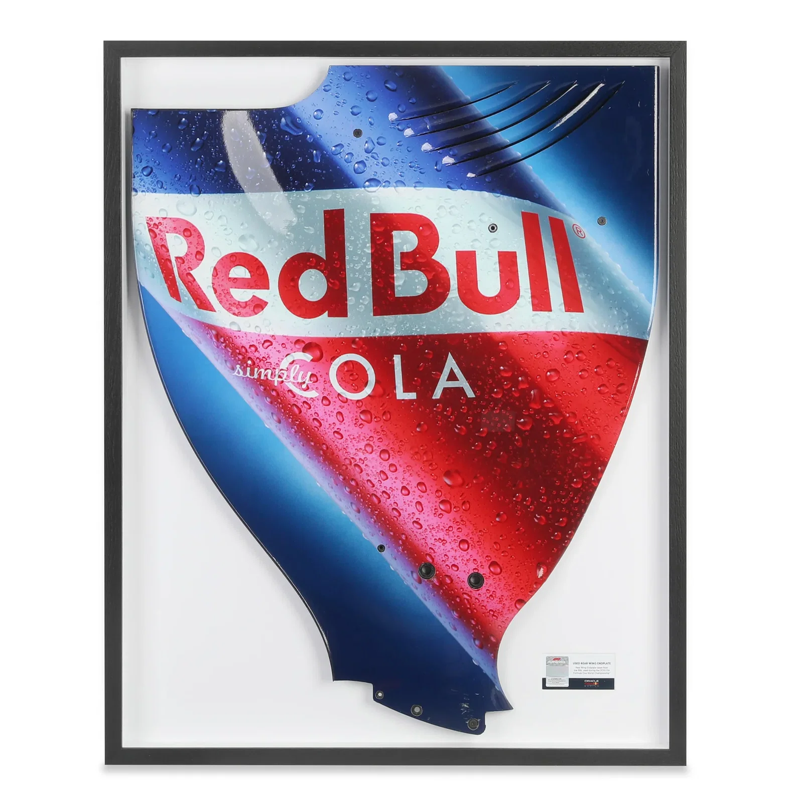 Image of Red Bull Racing RB6 2010 Framed Season Used Right Hand Rear Wing Endplate