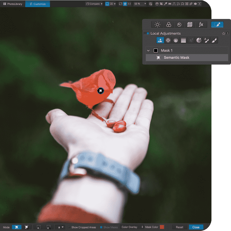 Bird