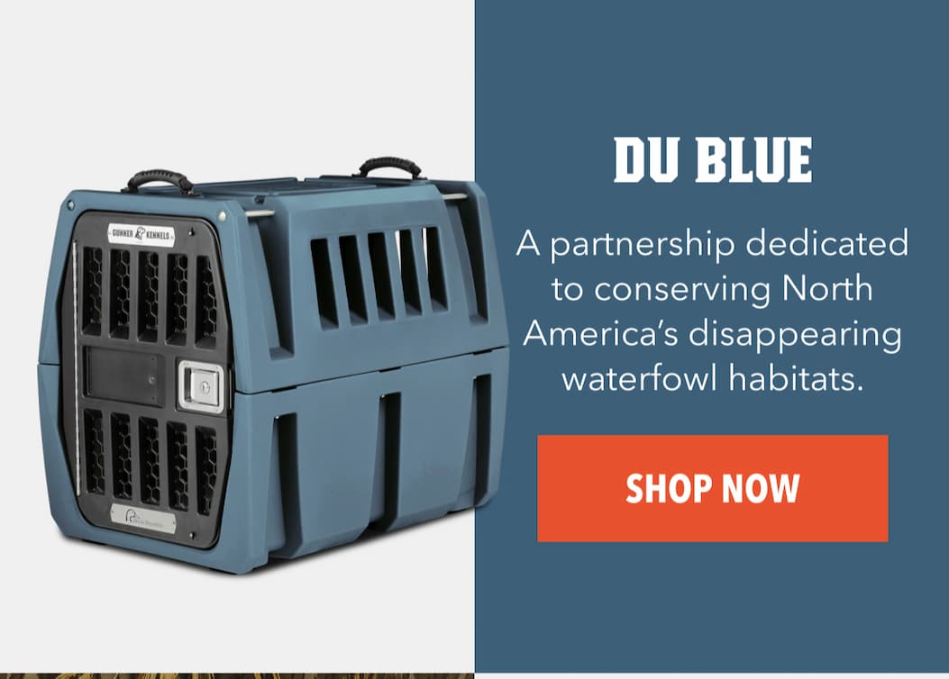 Du Blue