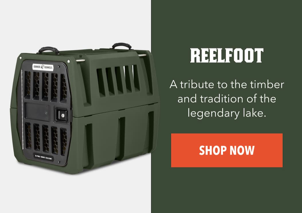 Reelfoot