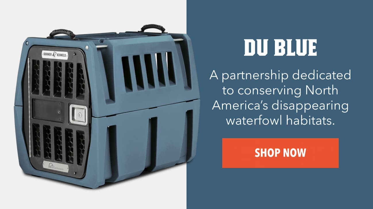 Du Blue