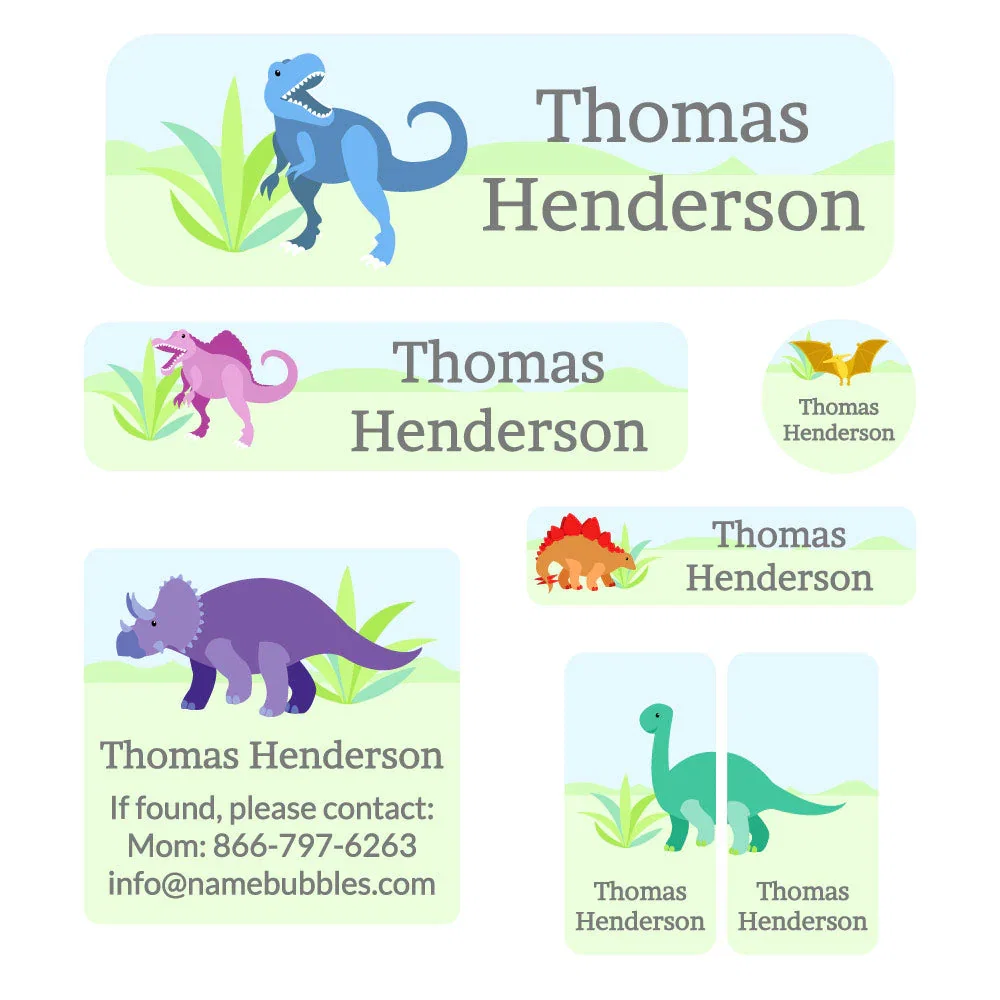 Image of Dinosaurs School Labels Pack