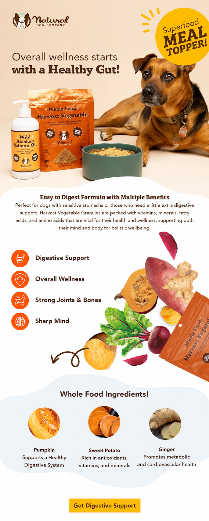 Natural Dog Company: FALLing into better digestion… | Milled