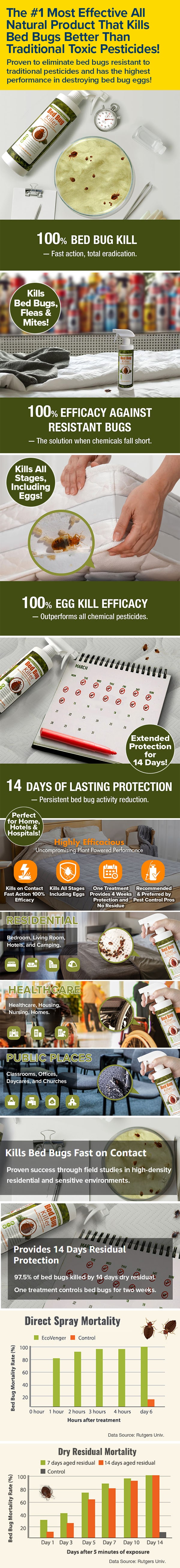 The #1 Most Effective All Natural Product That Kills Bed Bugs Better Than Traditional Toxic Pesticides! Stages!