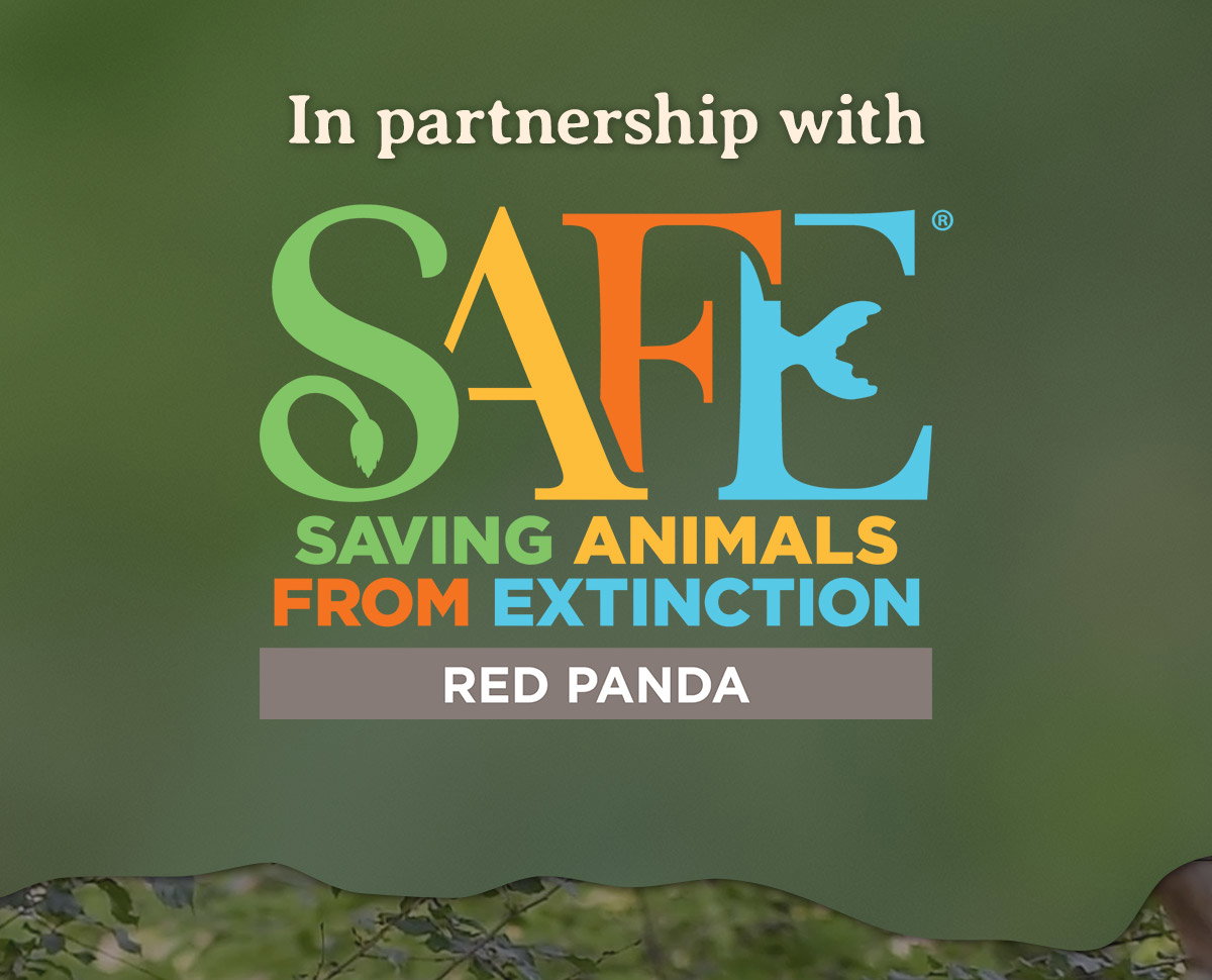 In partnership with SAFE to help red pandas