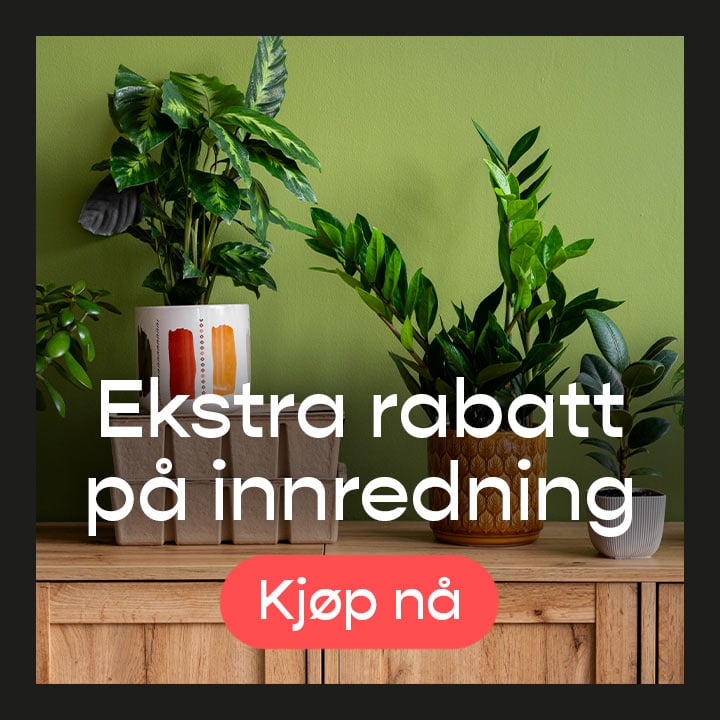Innredning