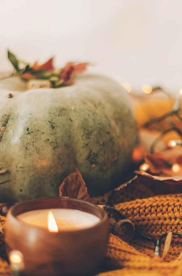 Pumpkin spice and everything nice collection