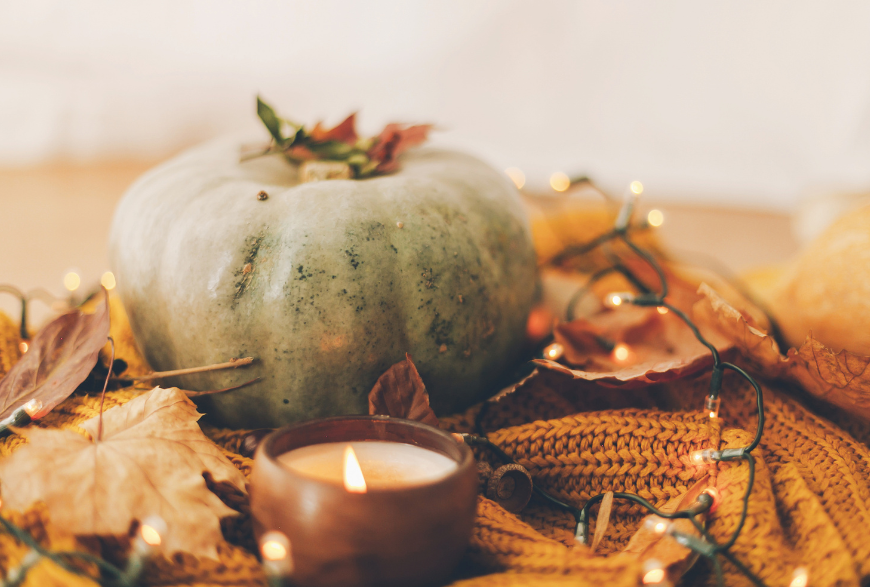 Pumpkin spice and everything nice collection