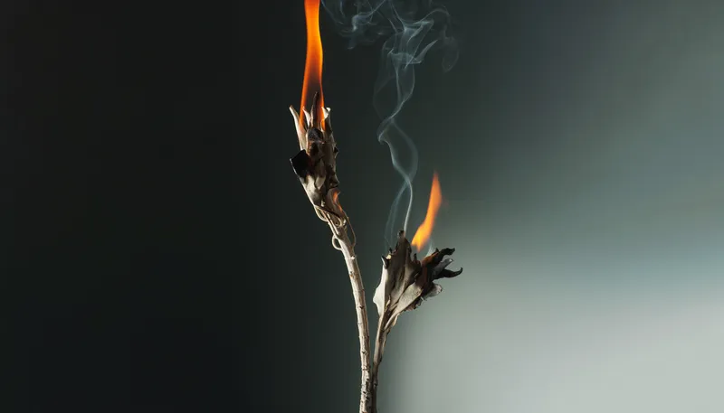 Fall’s Top Fragrance Trends Welcome the Witching Season