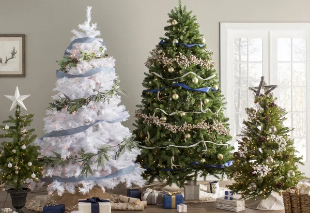 Our Top Christmas Trees