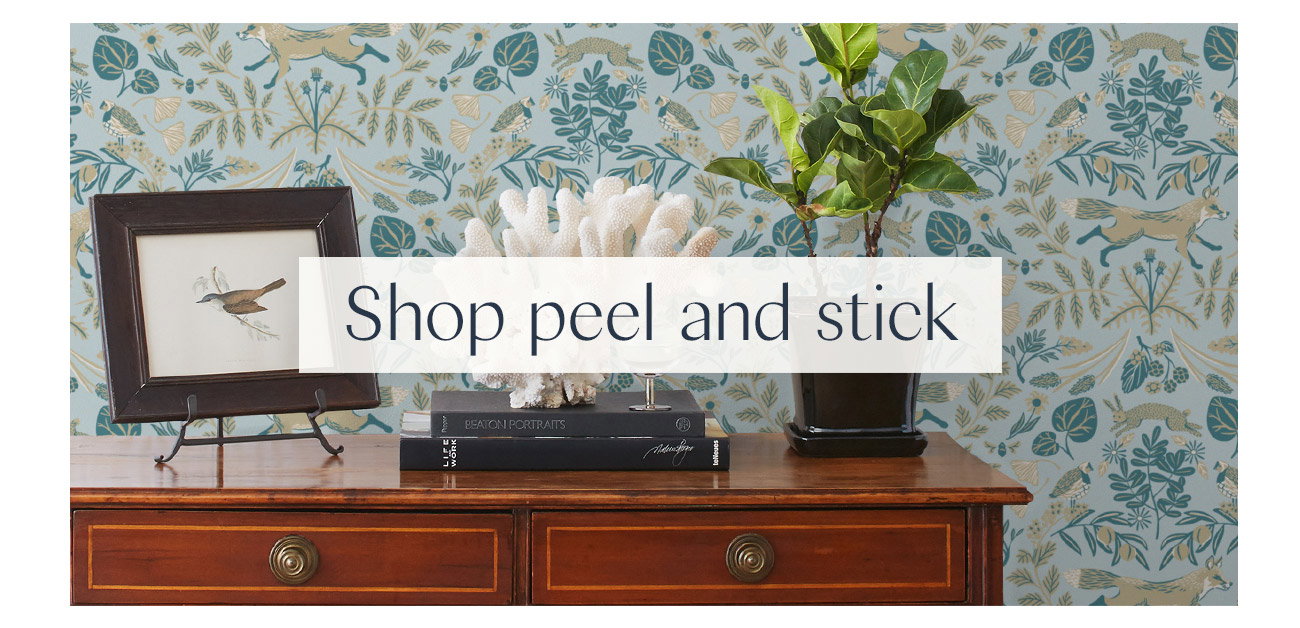Shop peel and stick 