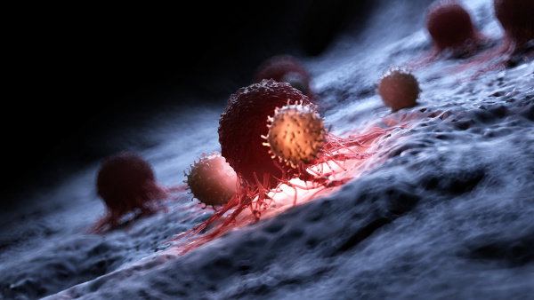 An iIllustration of white blood cells attacking a cancer cell.