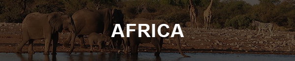 africa