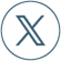 X Social Network