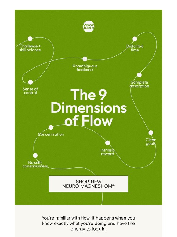 the neuroscience of flow state