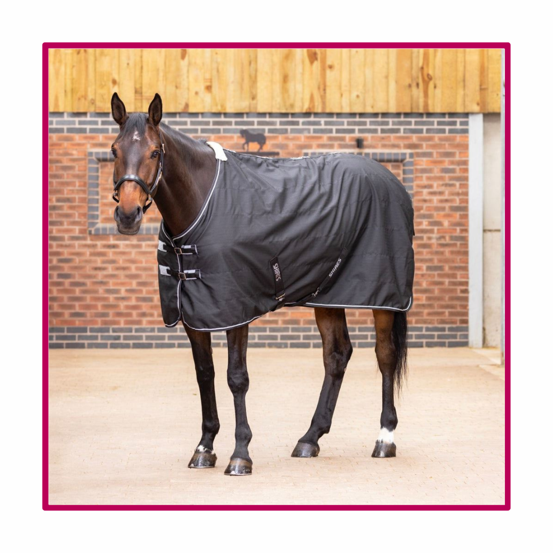 Stable Rug For Cobs Equus: Keep Your Horse Cozy This Season — Discover Our Top Stable Rugs ...