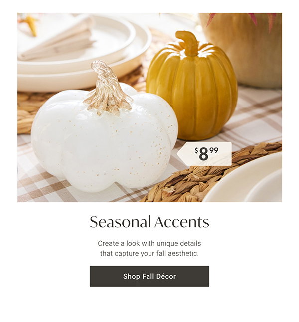 Seasonal Accents | Shop Fall Décor >