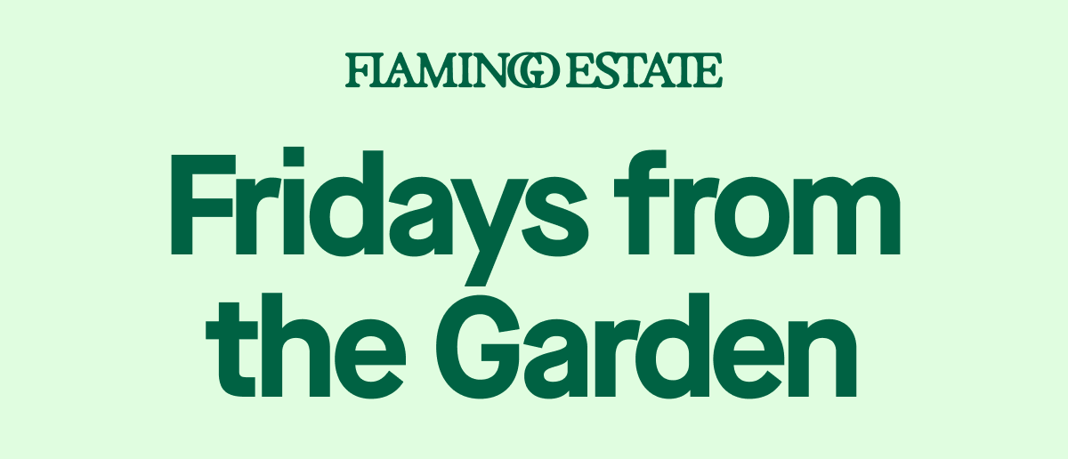 Fridays from the Garden