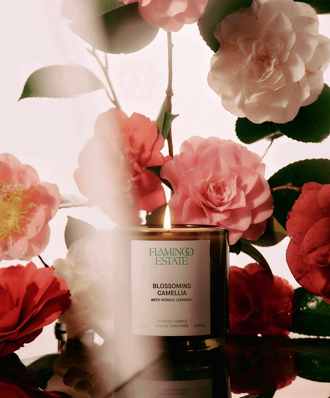 Flamingo Estate x Monika Lewinsky