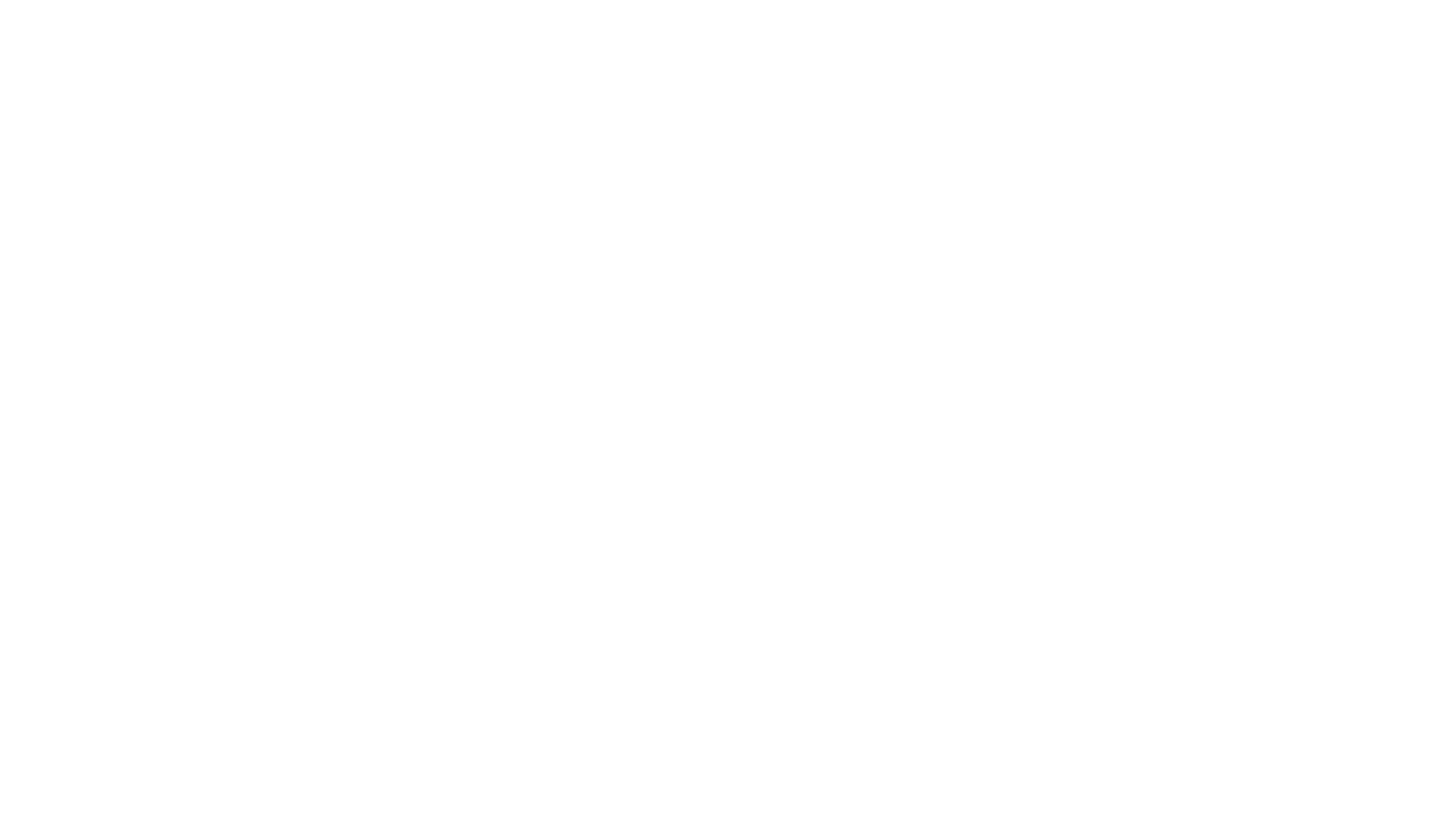 Flamingo Estate Footer Logo