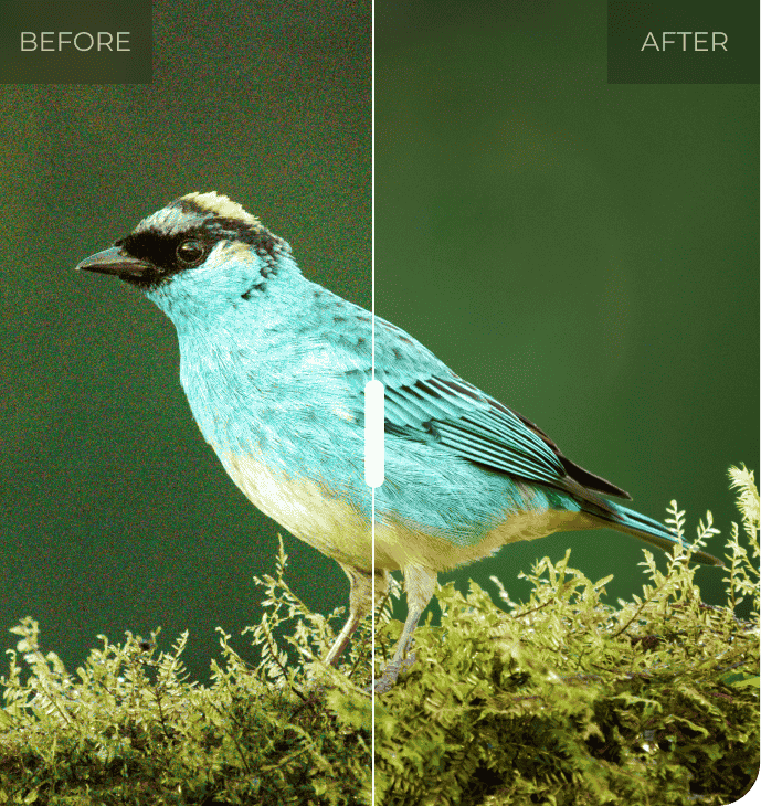 Before / After