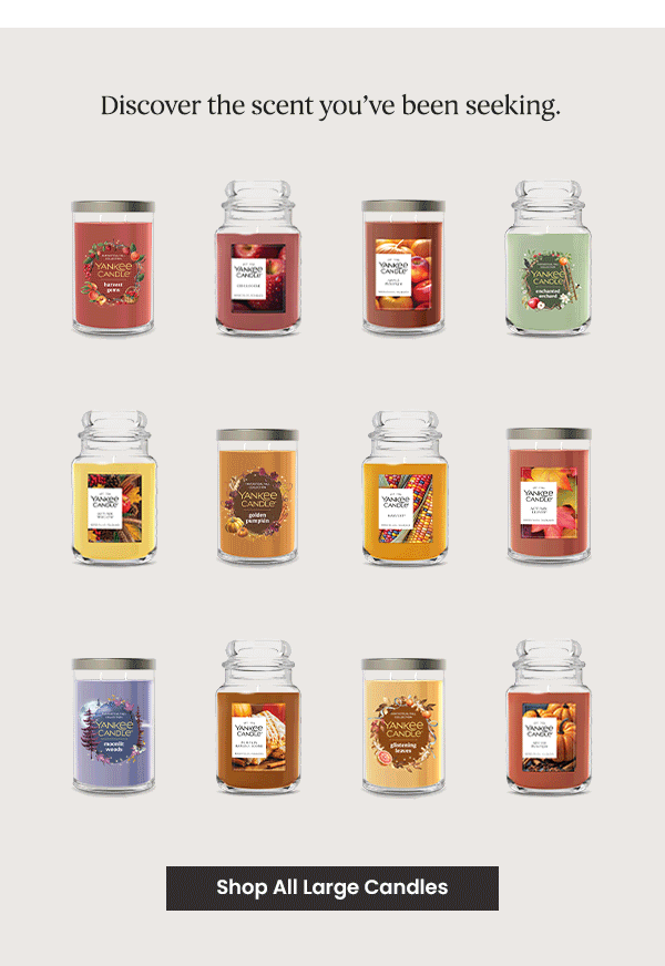 Discover the scent you've been seeking.