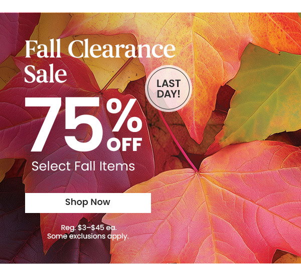 Fall Clearance Sale - 75% Off Select Fall Items