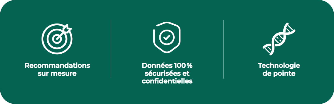 Chargement en cours...