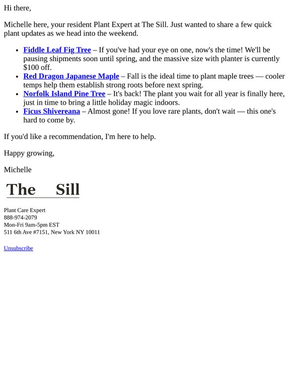 A few plant updates I think you’ll love 🌿