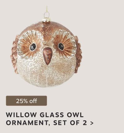 25% off: WILLOW GLASS OWL ORNAMENT, SET OF 2 >