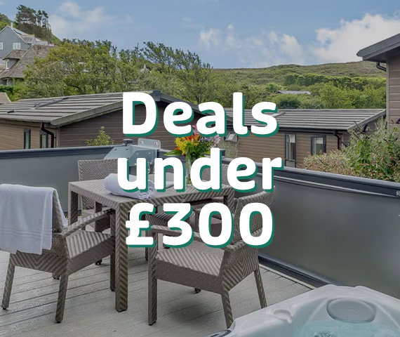 Deals under £300