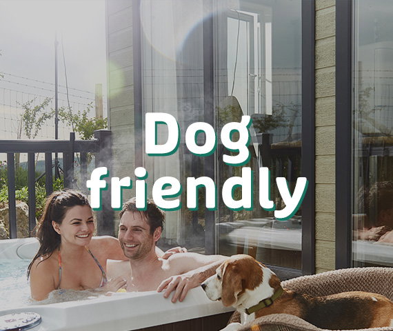 Dog friendly