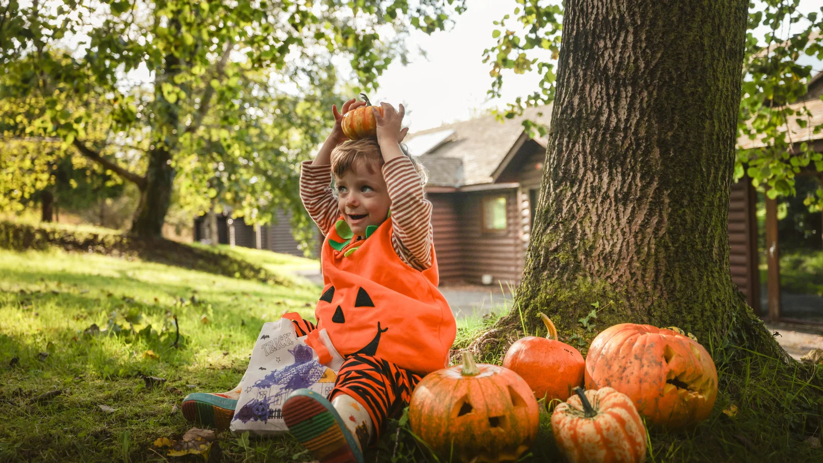 boy playing with pumpkins at autumn