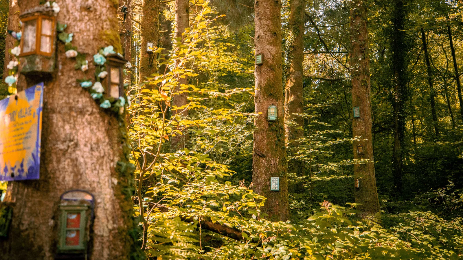spring forest at bluestone