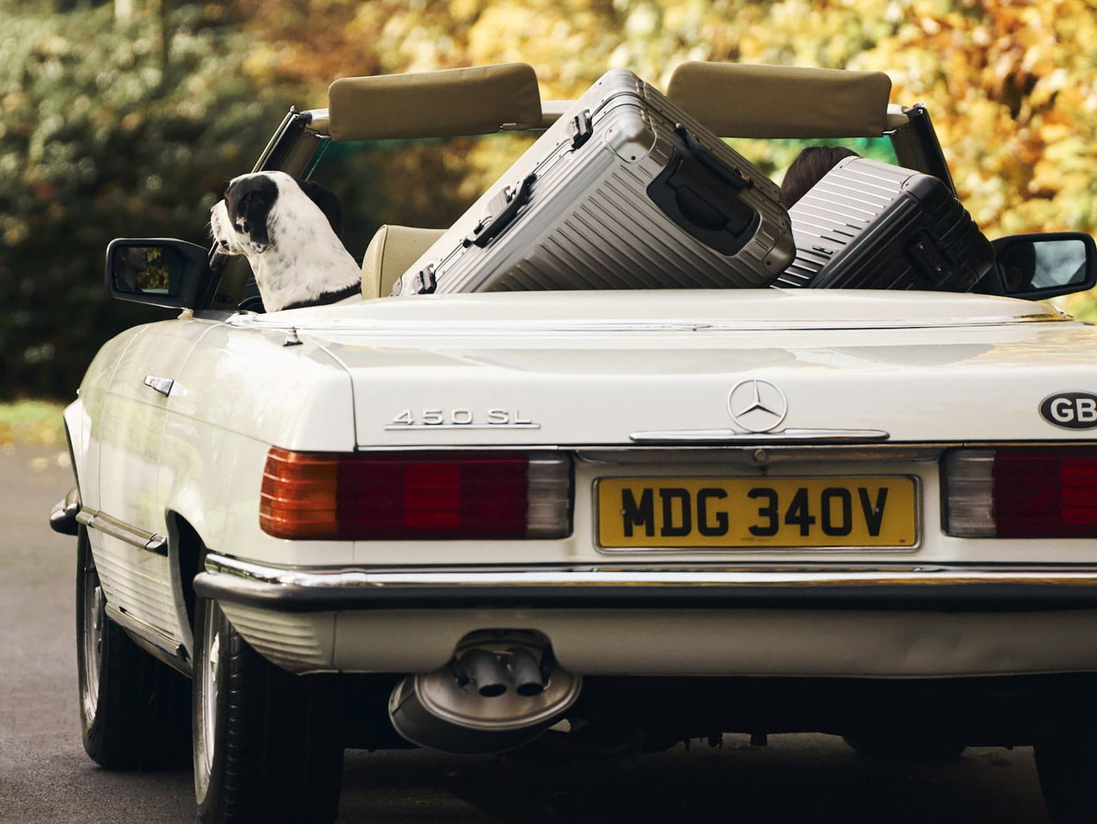 Axel luggage in Vintage Mercedes with dog