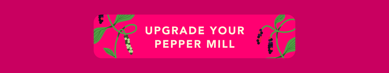 Upgrade Your Pepper Mill
