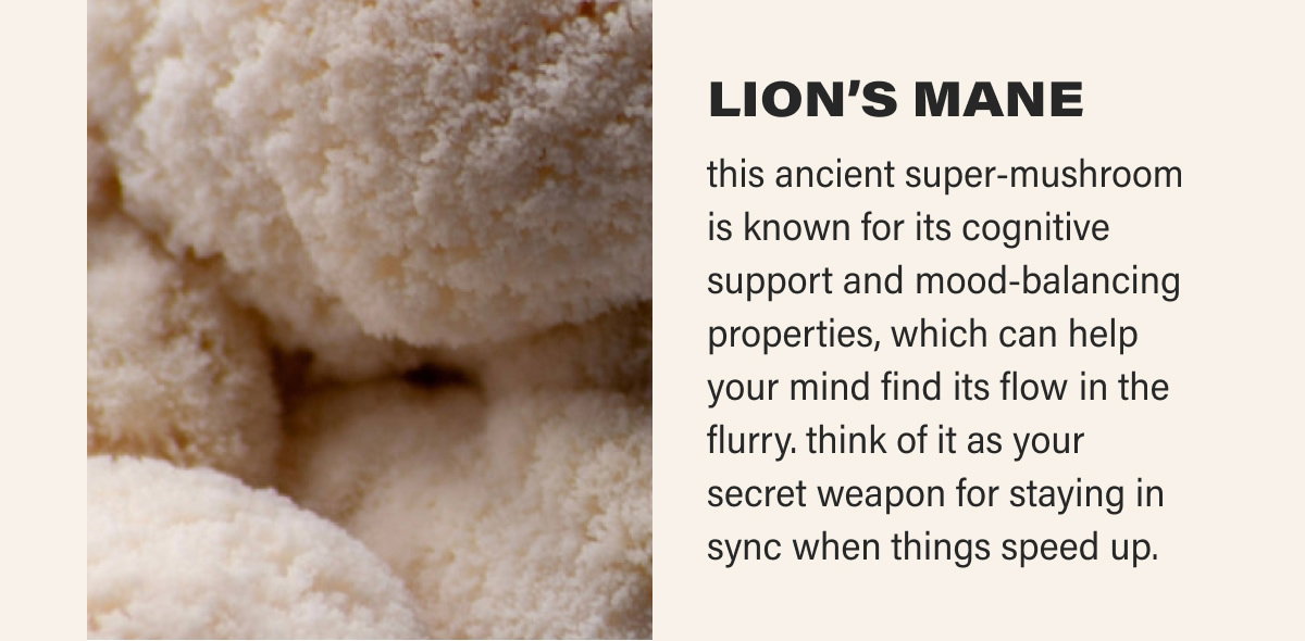 LION’S MANE this ancient super-mushroom is known for its cognitive support and mood-balancing properties, which can help your mind find its flow in the flurry. think of it as your secret weapon for staying in sync when things speed up.