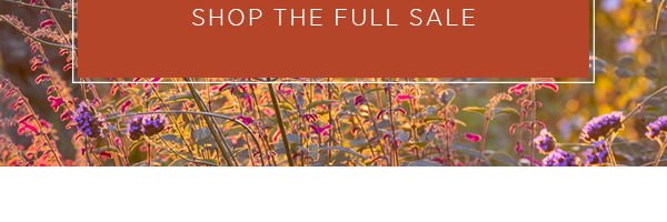 Shop the full sale. 