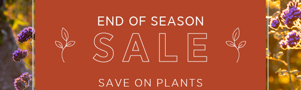 End of Season Sale. Save on Plants