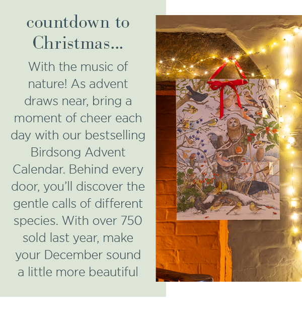 Countdown to Christmas... With the music of nature! As advent draws near, bring a moment of cheer each day with out bestselling Birdsong Advent Calendar. Behind every door, you'll discover the gentle calls of different species. With over 750 sold last year, make your December sound a little more beautiful.
