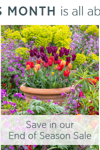 Save in our End of Season Sale.