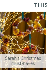 Sarah's Christmas must-haves