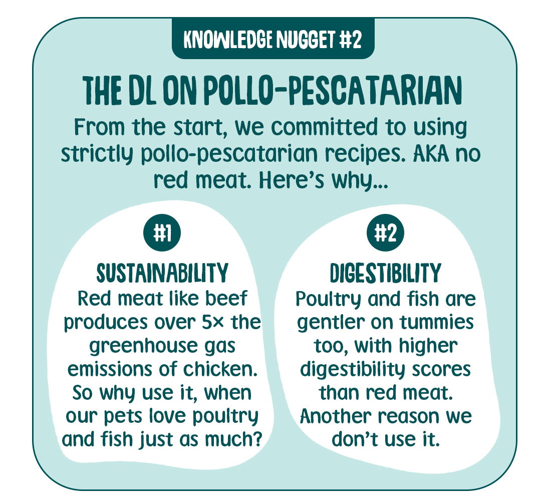 pollo-pescatarian