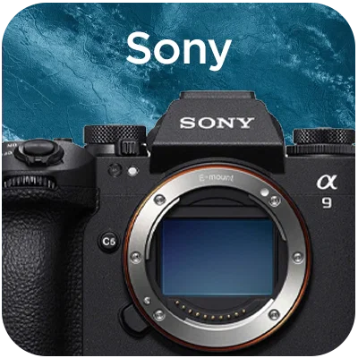 Sony