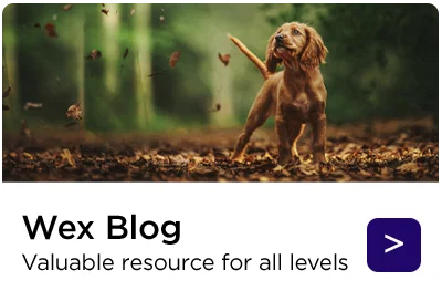 Wex Blog - Valuable resource for all levels