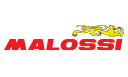 BRIXIAMOTO.COM - MALOSSI