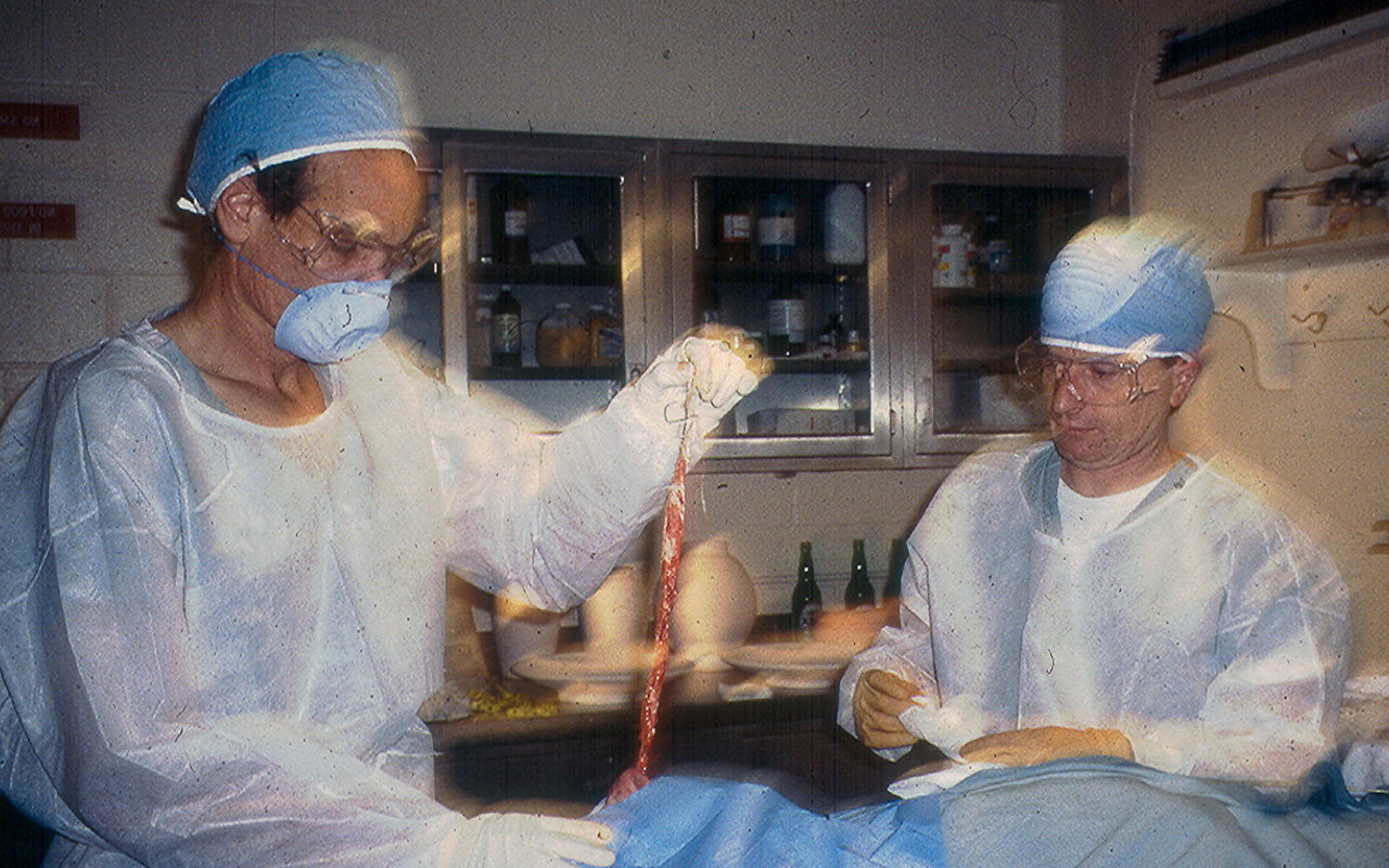 The body at the beginning stages of the mummification process.