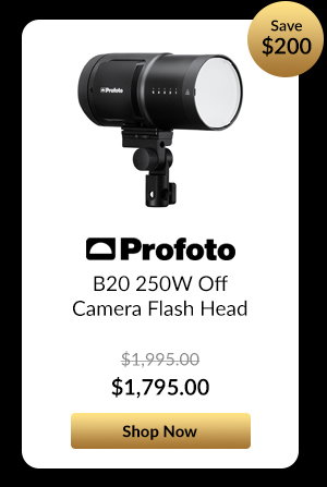 Profoto B20 250W Off Camera Flash Head