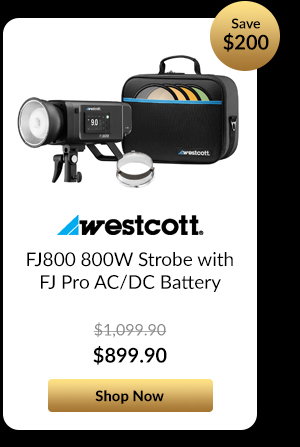 Westcott FJ800 800W Strobe with FJ Pro AC/DC Battery