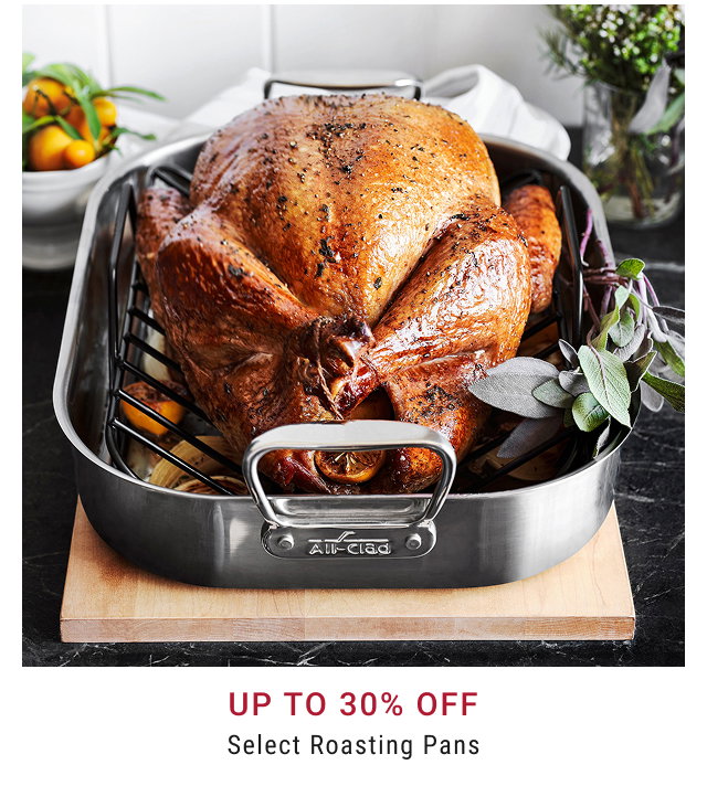 Up to 30% Off Select Roasting Pans